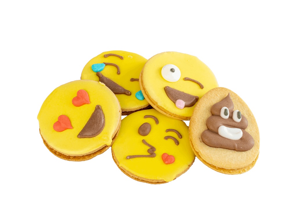 FLORYS GALLETAS T-19 EMOTI 30UND