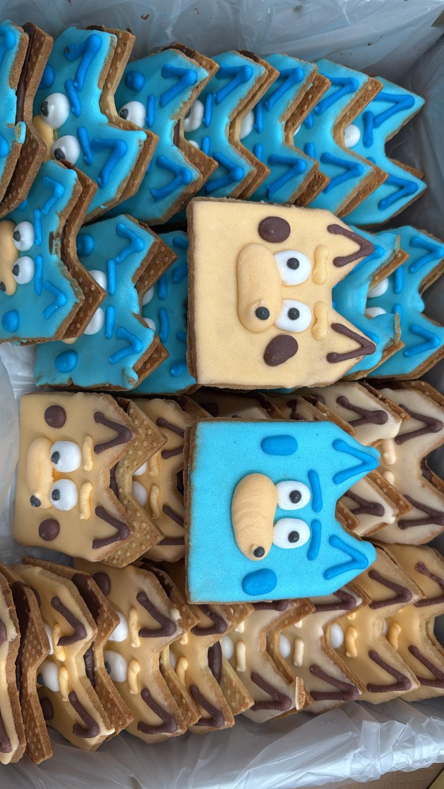 FLORYS GALLETAS TIPO 65 BLUY