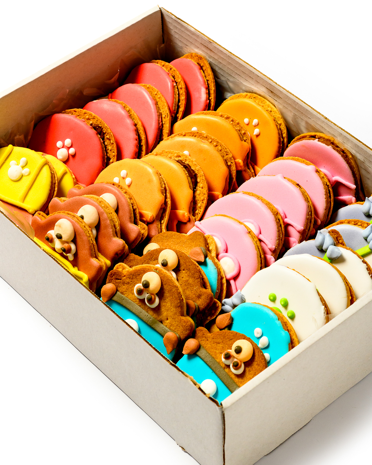 FLORYS GALLETAS T-40 PERRITOS 30UND